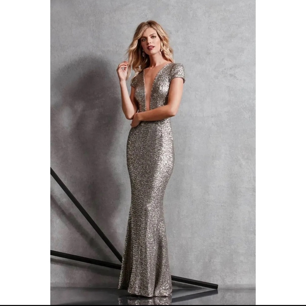 NWT dress the population sequen gown